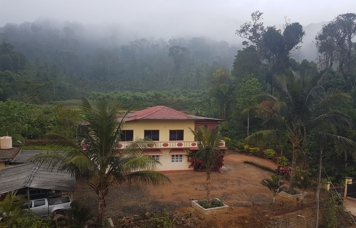 TSM Garden